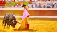 OLÉ ! - Temporada de Dax, des toros, des stars et des jeunes talents